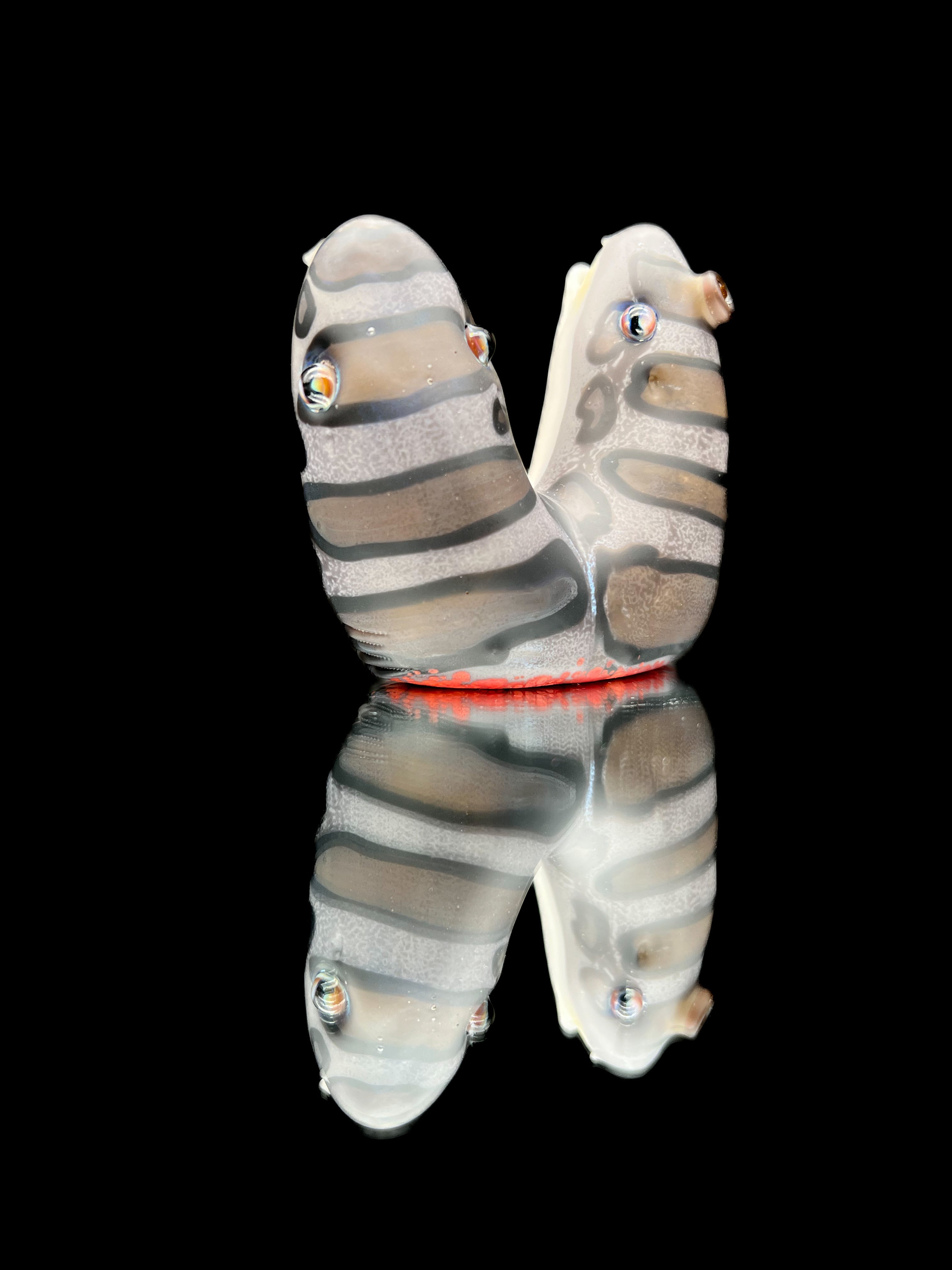 Trapper Studios Polycephaly Leopard Shark Rig