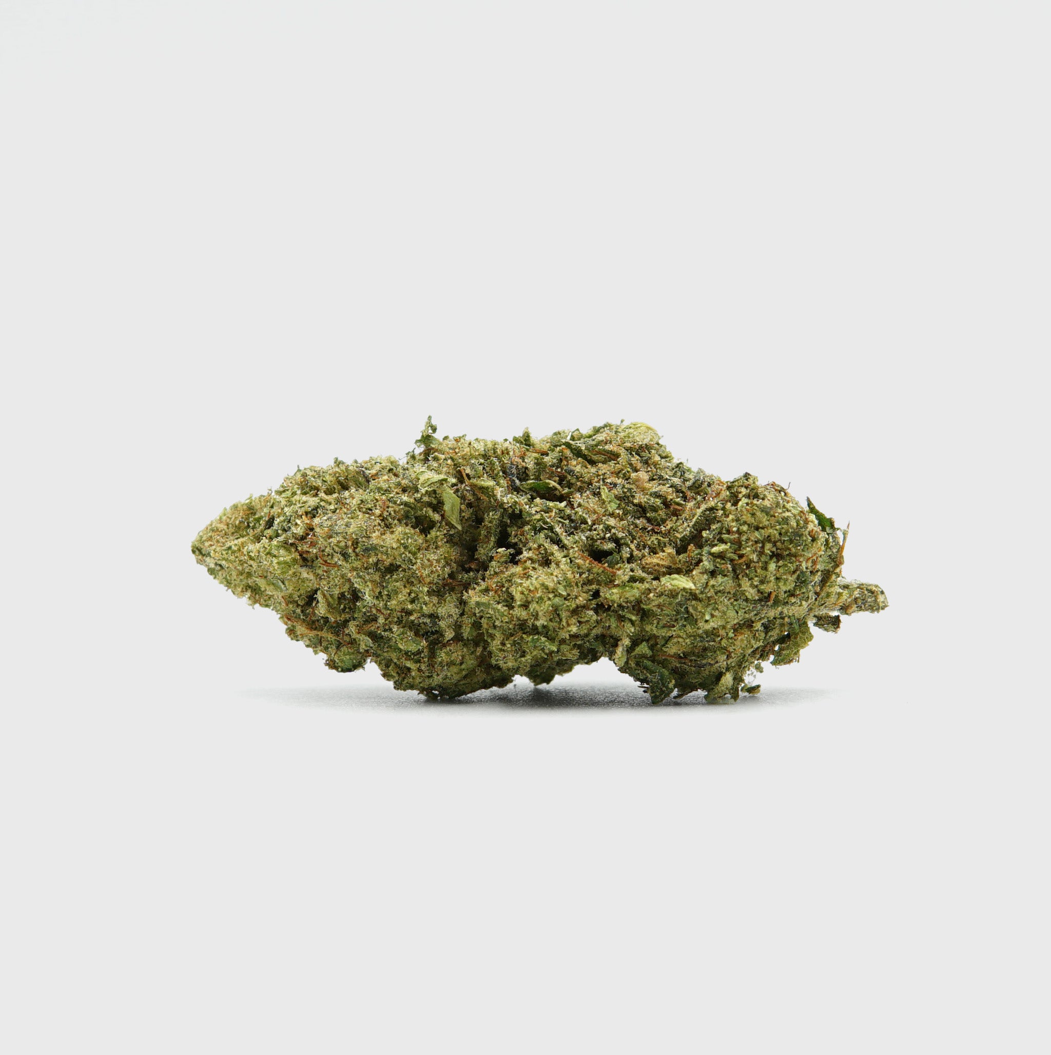 💨Vollis Turbobud - SATIVA TURBO LVL 5/5