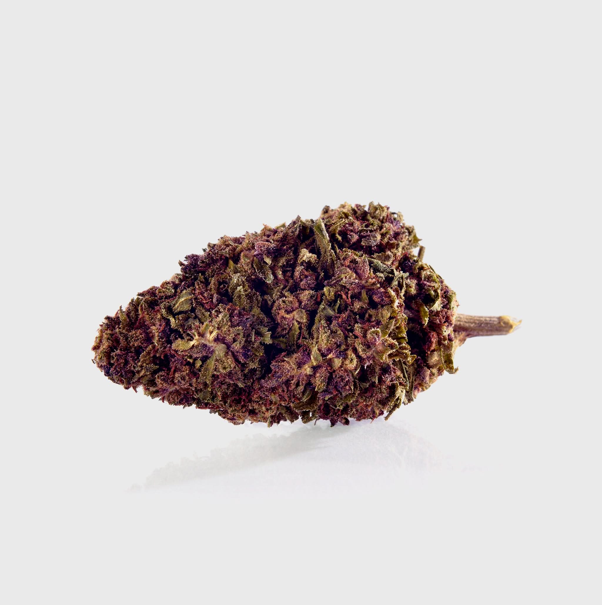 🧞Purple Kinky Kush – Power Level 5/5